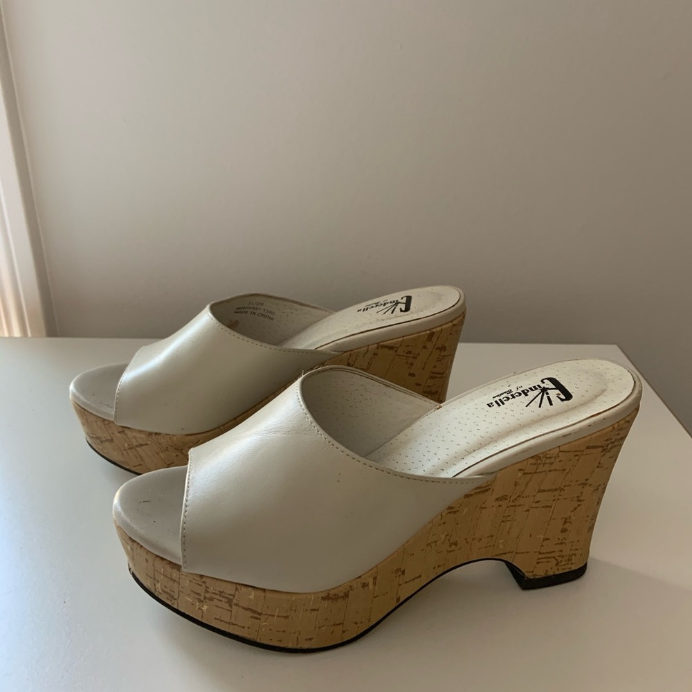 Cinderella of Boston Mules